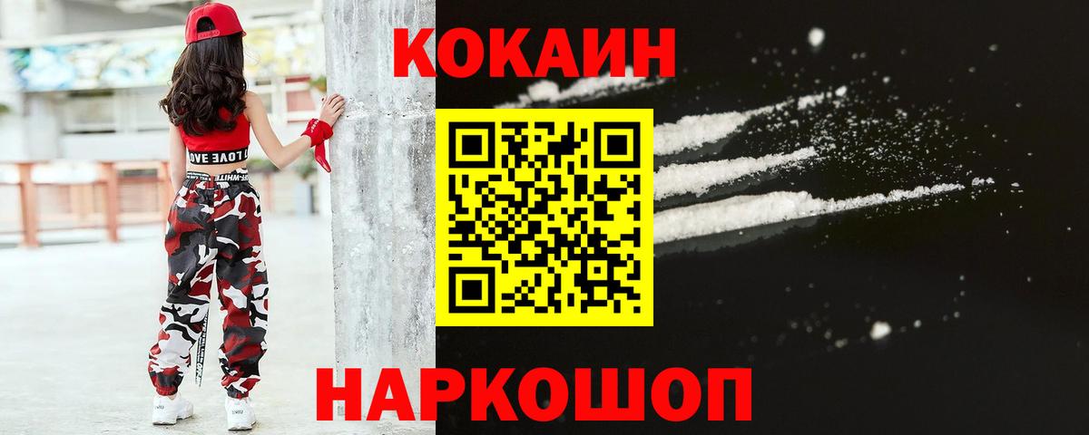 наркотики  Cocaine Fish Scale  Вход с VPN  Красный Сулин 
