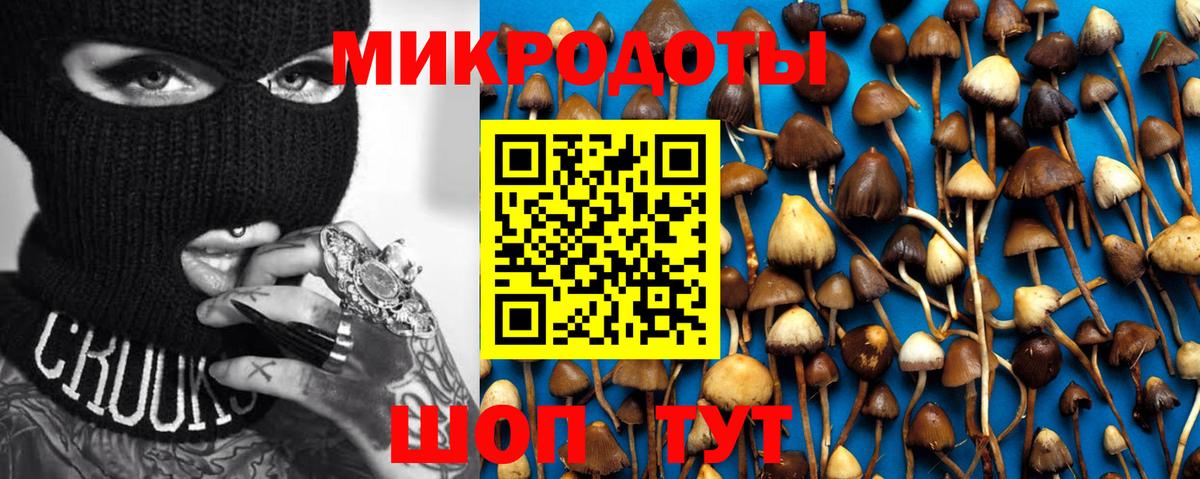 Красный Сулин  Галлюциногенные грибы Magic Shrooms  Вход с VPN 
